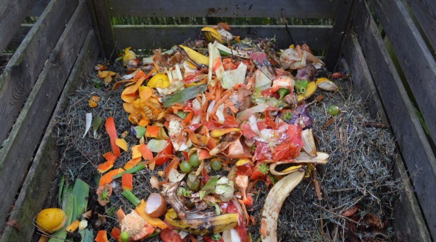 Comment faire pour réduire le gaspillage alimentaire en recyclant les restes de repas ?
