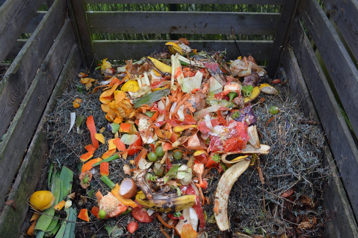 Comment faire pour réduire le gaspillage alimentaire en recyclant les restes de repas ?